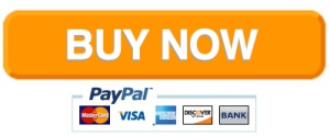 pay-pal buy now